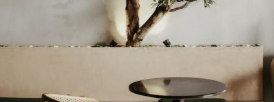 黑白猫是什么猫黑白猫原产地在英国？小猫为什么是黑白相间的？