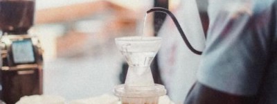 新英格兰棉尾兔英语介绍？彼得兔人物名字有哪些？