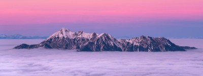 生肖鼠2024年7月29日运势，心地善良的人，包容大度