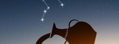 2024年7月30日生肖牛，一生勤于学，自有功名
